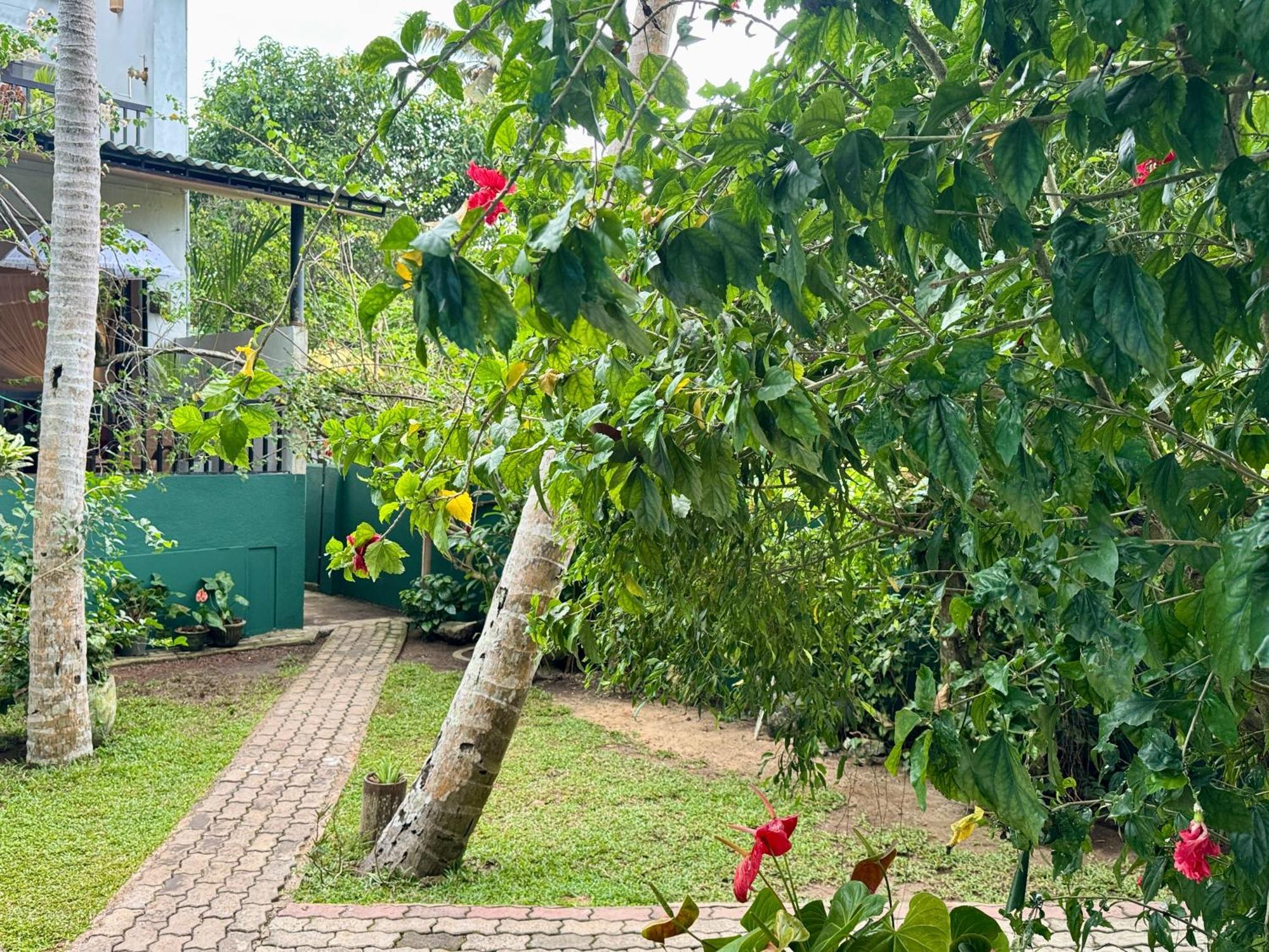 Swastha Ayurveda Villa Hikkaduwa Exterior photo